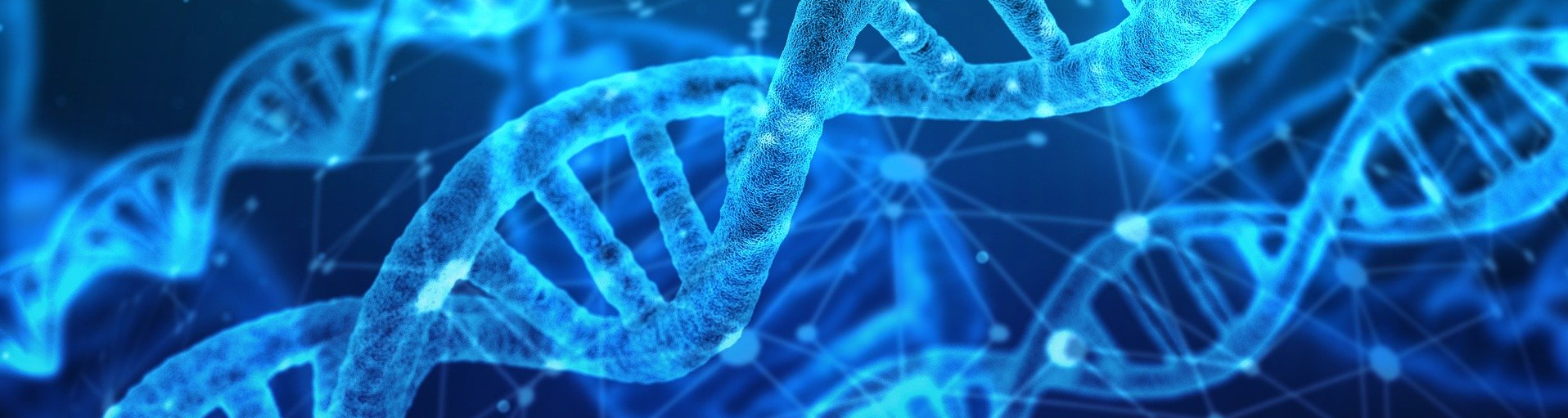 Organisational data DNA